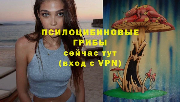 кокс Армянск